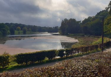 Tour Wandern Ottignies-Louvain-la-Neuve - LLN Hyper Centre - Photo