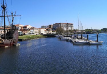 Tocht Stappen Vila Chã - villa de conde - Photo