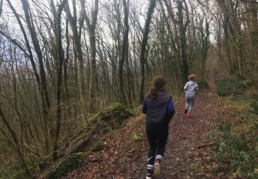 Trail Running Varces-Allières-et-Risset - 20191228 footing G + OF - Photo