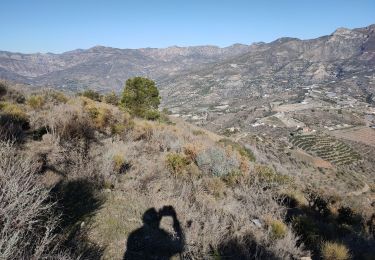 Randonnée Marche Ítrabo - Cerro de Itrabo et del Aquila - Photo