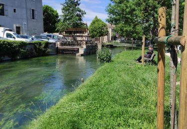 Percorso Marcia L'Isle-sur-la-Sorgue - îles sur la Sorgue - Photo