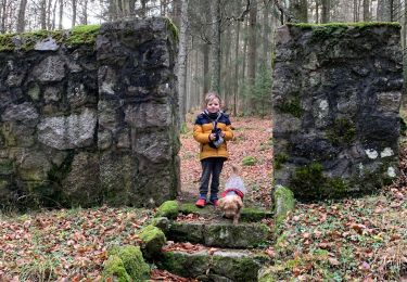 Tocht Stappen Lapoutroie - Tête des faux  - Photo