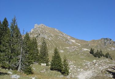 Percorso Sentiero Mieussy - Les Roches 1500 N°8 - Roche Pallues - Taninges - Praz de Lys - Lac de Roy - Pointe du Perret : 22km - 1400m+ - Photo