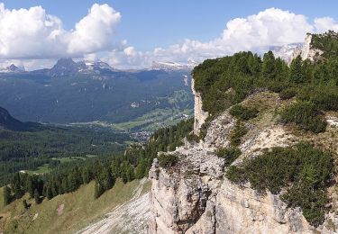 Randonnée A pied Cortina d'Ampezzo - Sentiero C.A.I. 206, Strada per Tre Croci - Lareto - Son Forca - Photo