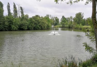 Tour Wandern L'Union - L'Union - Photo