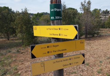 Tour Wandern Gréoux-les-Bains - Les Tronnes  - Photo