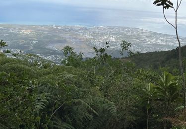 Tour Wandern Saint-Paul - Ilet Alcipe à sans souci - Photo