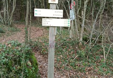 Tocht Stappen Chaumont - Chaumont - Photo