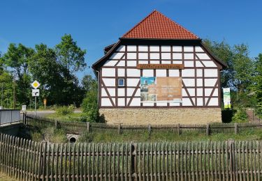 Tour Zu Fuß Hörselberg-Hainich - Skulpturen-Wanderweg - Photo