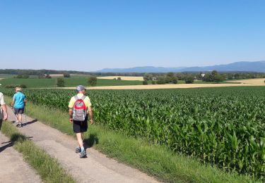 Trail Walking Heimsbrunn - Heimsbrunn  - Photo