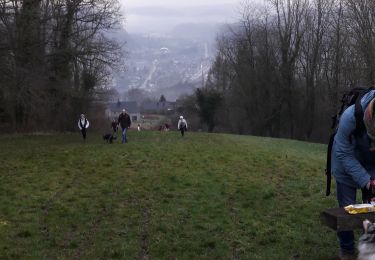 Trail Walking Aywaille - Aywaille 19 janvier 2010 - Photo