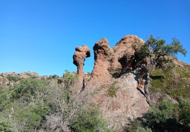 Tocht Stappen Le Muy - Rocher de Roquebrune, Les 2 frères - Photo