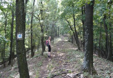 Trail On foot Gyöngyössolymos - Z4 (Lajosháza - Ágasvár) - Photo