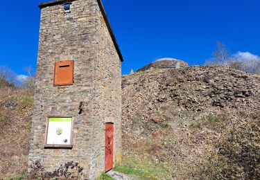 Tour Wandern Comblain-au-Pont - mur géologique -03_04_2023 - Photo