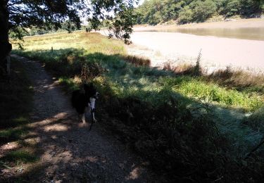 Tour Wandern Auray - Le long du Loch 22/07/20. - Photo