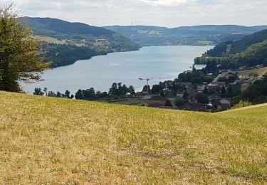 Tour Wandern Villages du Lac de Paladru - plateau de Sornins  - Photo