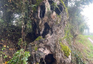 Excursión Senderismo Essômes-sur-Marne - Vaux - Photo