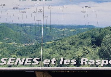 Randonnée Marche Villefranche-de-Panat - les raspes d'ayssenes - Photo