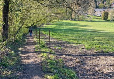 Trail Walking Assesse - Maillen Grupet Arche - Photo