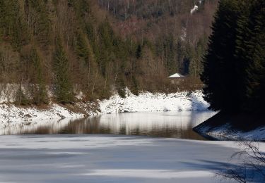 Randonnée A pied Steinwiesen - Hubertus-Weg RT 25 - Photo