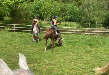 Trail Horseback riding Saverne - Reconnaissance Saverne Veronique gerber  - Photo