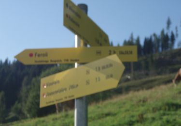Excursión A pie Dienten am Hochkönig - Feroli-Moaralm - Photo