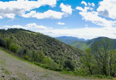 Randonnée Marche Val-d'Aigoual - valleraugue - Photo