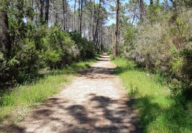Trail Walking Ghisonaccia - forêt de pinia, étang,mer - Photo