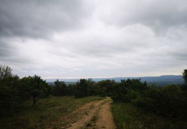 Tocht Noords wandelen Saint-Ambroix - 10.05.20 chemin et piste - Photo