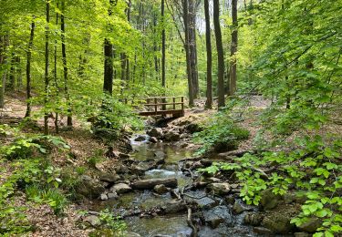 Tour Zu Fuß Spa - Balade depuis Barisart  - Photo