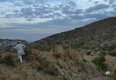 Trail Walking Port-Vendres - fort Béar - Photo