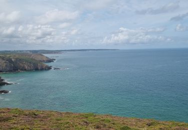 Tocht Stappen Fréhel - le cap Frehel - Photo