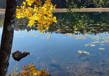 Tocht Stappen Le Frasnois - Les 4 lacs - Photo