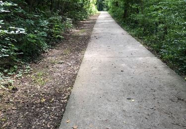 Randonnée Marche Seraing - Du ravel de Boncelles  - École des taillis - centre Fitness – retour vecquée Boncelles - Photo