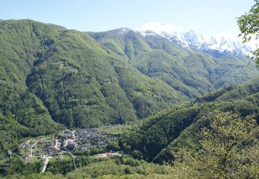 Trail On foot Centovalli - Sentiero Monte di Comino - Photo