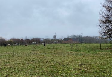 Tocht Stappen Doornik - Thimougies moulin 7,7 km - Photo