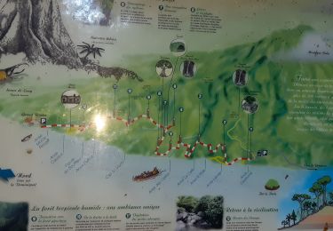 Trail Walking Le Prêcheur - Traces des Anses - Photo