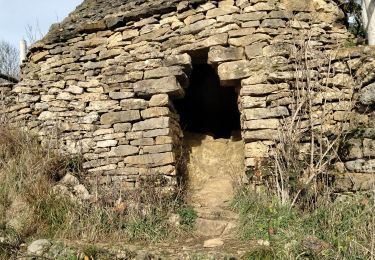 Tour Wandern Besançon - fort planoise plus Rosemont  - Photo