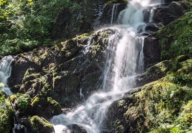 Excursión Paseo ecuestre Fouday - 2024-08-25_13h55m41_suuntoapp-HorsebackRiding-2024-08-24T07-39-58Z-track - Photo