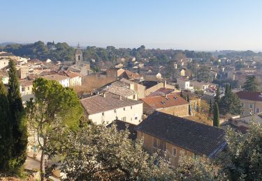 Tocht Stappen Beaumes-de-Venise - Beaume de Venise  - Photo