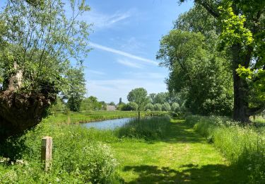 Tour Wandern Dilbeek - Un petit tour vers le moulin - Photo