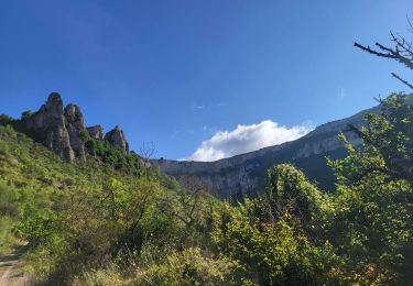 Trail Walking Tournemire - Tournemire - Cirque de Brias et sentier des échelles depuis Roquefort - Photo