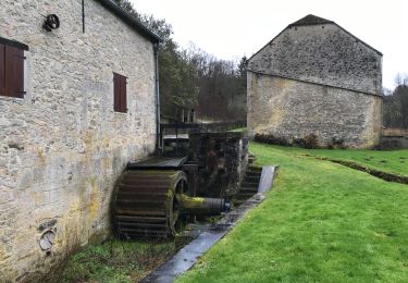 Randonnée Marche Doische - Soulme - Hermeton - Photo