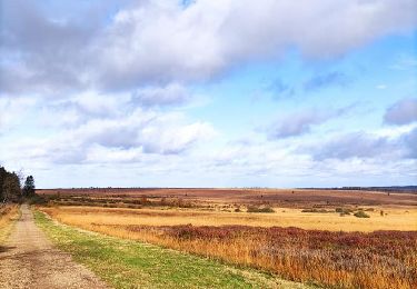 Tocht Stappen Waimes - La grande ronde des Fagnes   - Photo