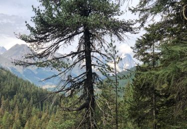 Tour Wandern La Thuile - Cascade du Ruitor La Thuile - Photo