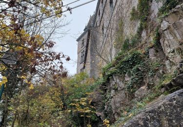 Tocht Stappen Durbuy - De Durbuy à Palange et retour. - Photo