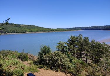 Trail Walking Argol - Moulin neuf-Terenez-le Marros avec Ripley 05-07-2022 - Photo