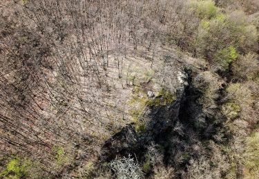 Tour Zu Fuß Gyöngyössolymos - S3 (Lajosháza - Őrlőmű - Dezsővár - Csigéd-farok) - Photo