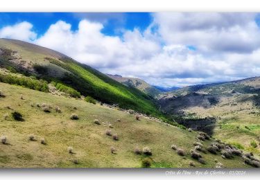 Excursión Senderismo Val-Buëch-Méouge - Crête de l'âne, des Planes et Roc de Gloritte Via Plaugiers - Photo