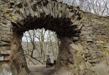 Trail Mountain bike Trooz - Par Le Pery - Photo